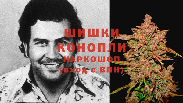 крисы Балабаново
